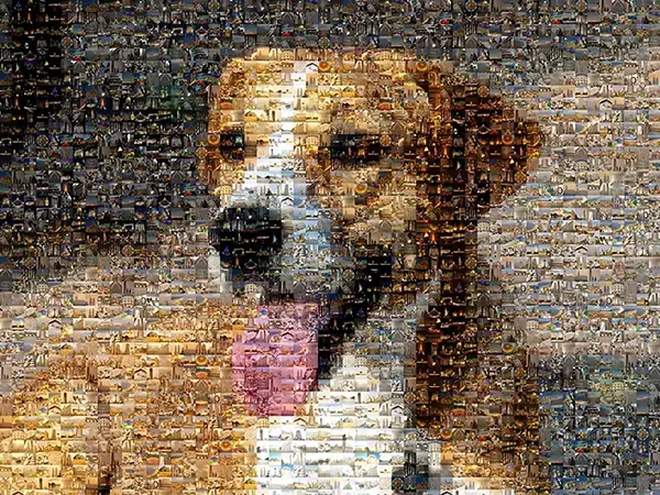 Fotomosaico de Mascotas